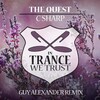 The Quest - C Sharp