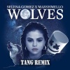 TANG唐、Selena Gomez、Marshmello《Wolves (TANG Remix)》[MP3/LRC]