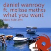 Daniel Wanrooy、Melissa Mathes - What You Want