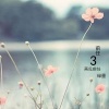 绿墨 - 前任3再见前任