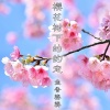 鱼香婆婆 - 樱花树下的约定
