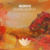 Magnovis - Manifest