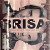 Jetlag Music - Brisa