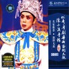 陈小汉、李敏华 - 汉宫秋夜雨