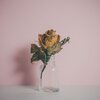 Fyfe、Kimbra - Belong (feat. Kimbra)(Clement Bazin )(Remix)