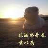 袁以为 - 烈酒祭青春