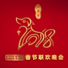 华语群星 - 万紫千红中国年
