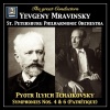 st. petersburg philharmonic orchestra、Yevgeny Mravinsky - Symphony No. 4 in F Minor, Op. 36, TH 27 - I. Andante sostenuto - Moderato con anima