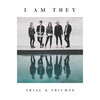 I Am They、david leonard - The Water (Meant for Me)