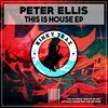 Peter Ellis - This Is House (Original Mix)