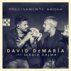 david demaria、sergio dalma - Precisamente ahora (con Sergio Dalma)(Directo 20 años)