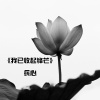 MC兵心 - 我已收起锋芒