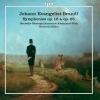 Staatsphilharmonie Rheinland-Pfalz、Kevin Griffiths - I. Andante con moto - Presto