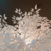 MAnYeon蔓妍妍 - 阿刁