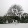 王朝博 - 雪白冰雪