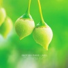 韩国群星 - 바람을 따라 흐르는 강