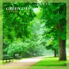 Groove Hands - Green Day