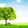 Relaxing - 마음의 쉼터