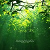 Relaxing - 춤추는 햇살