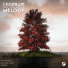 Cadmium、Jon Becker、Thimlife - Melody (Thimlife & Calum Ayse Remix)