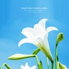 임미소 - 행복을 위한 꿈