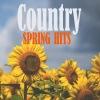 Thomas Rhett - Marry Me