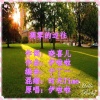 伊啦啦 - 凋零的过往