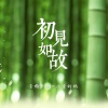 音频怪物、小爱的妈 - 初见如故