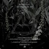 ROOTEK - Development Round (Original Mix)