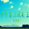 DJ阿奇 - 青青草原我是王 (DJ版)
