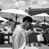 苏天伦 - 淑女摇 (DJ版)
