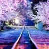 莫逸雯、DJ慕寒、安卿云 - 讲真的 (动听版)
