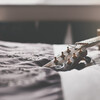 放开那个地瓜 - 一个人的朝圣