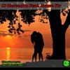 Cj Stereogun、Margo Fly - Fleeting Love (InWinter Remix)