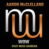 Aaron McClelland、Miss Damena - Wow (Radio Edit)