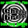 Mr Mister、K Finn - Bad Boy Jungle (Original Mix)