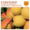 Existone、Hayley Parsons《August Aromas》[MP3/LRC]