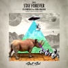 Irina Makosh、Cucumbers - Stay Forever (Original Mix)