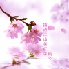 顾兮 - 指点江山笑红尘