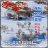 海浪飞歌、傲雪寒梅 - 冬之韵