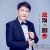 艺帆 - 流浪的脚步