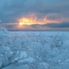 Northaunt - Istid III, Pt. I