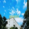 姜奕 - 擦肩而过