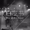 白皮书乐队 - Hynkel