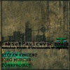 Jaksa Pavicevic - Ridiculous System of Unreasonable Wrongativity