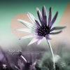 Sandji、Jaksa Pavicevic - Aurrera