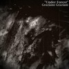 Graziano Graziani - Under Forest