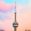 Palmer - The View