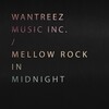 amycanbe - What I'm Missing