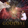 Pig《굿바이 Goodbye》[MP3/LRC]